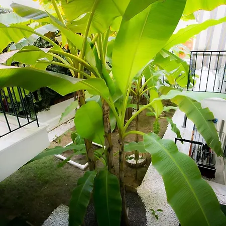 Panorama Aparthotel
